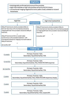 Imaging Biomarkers in Prostate Stereotactic Body Radiotherapy: A Review and Clinical Trial Protocol